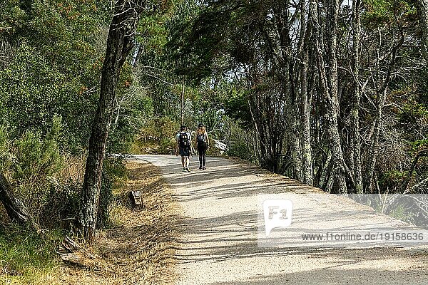 Zwei Personen beim Spaziergang im Wald  Isla del Faro  Cies Inseln  Nationalpark Atlantische Inseln  Galicien  Spanien  Europa