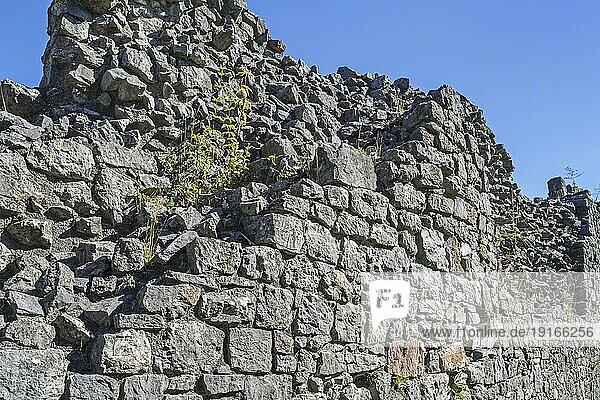 Die dicke Steinmauer einer mittelalterlichen Burg zeigt zwei Arten von Mauerwerk: Schutt auf der Innenseite und regelmäßig geschnittene Steine  sogenannte Quadersteine  auf der Außenseite