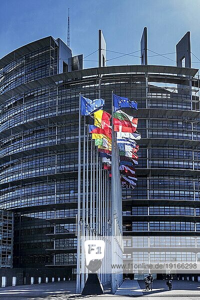 Flaggen der europäischen Länder vor dem Europäischen Parlament  EP in Straßburg  Frankreich  Europa