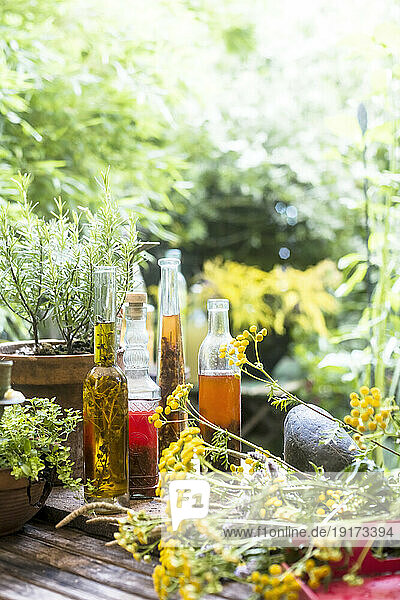 Herbs and various bottled oils on garden table