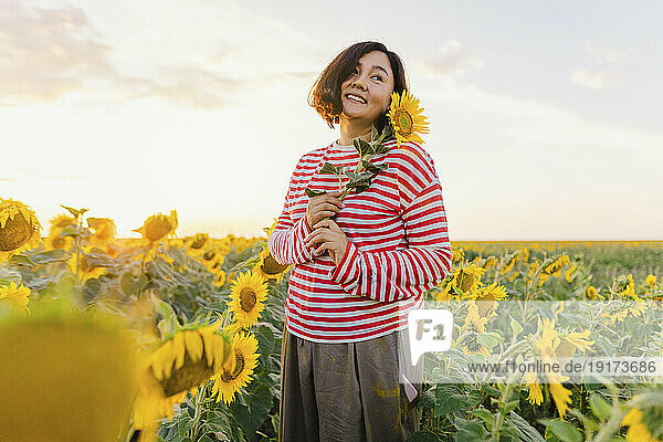 Smiling woman enjoying sunset in sunflower field