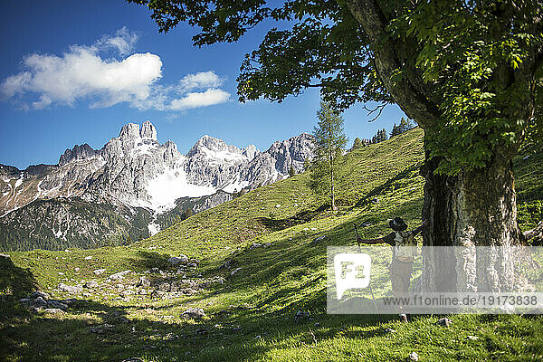Austria  Salzburger Land  Male hiker looking at Bischofsmutze mountain visible in background