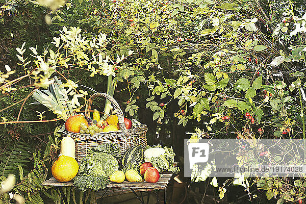 Autumn fruits and vegetables on garden table