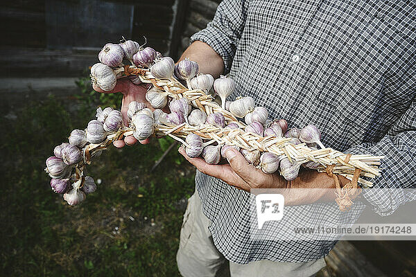 Senior man holding garlic braid in garden