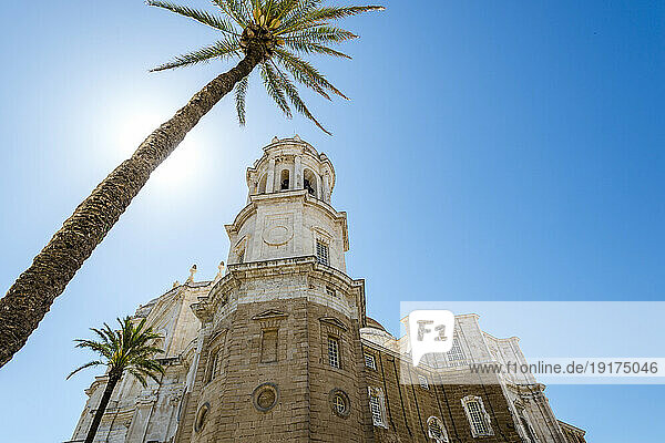 Spain  Andalusia  Cadiz  Bell tower of Cadiz Cathedral