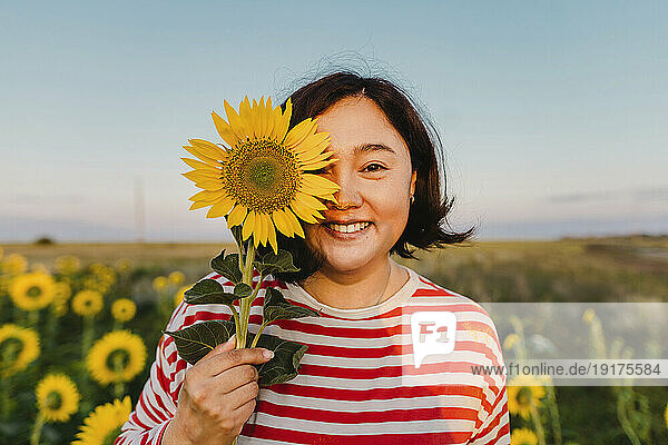 Smiling woman covering eye with sunflower at sunset