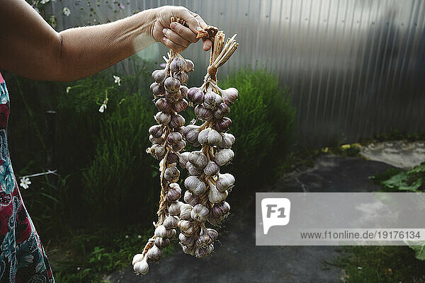 Woman holding garlic braid in greenhouse