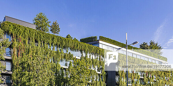 Germany  Baden-Wurttemberg  Stuttgart  Panorama of overgrown facade of office building