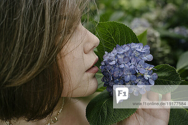 Young woman smelling hydrangea flower in garden