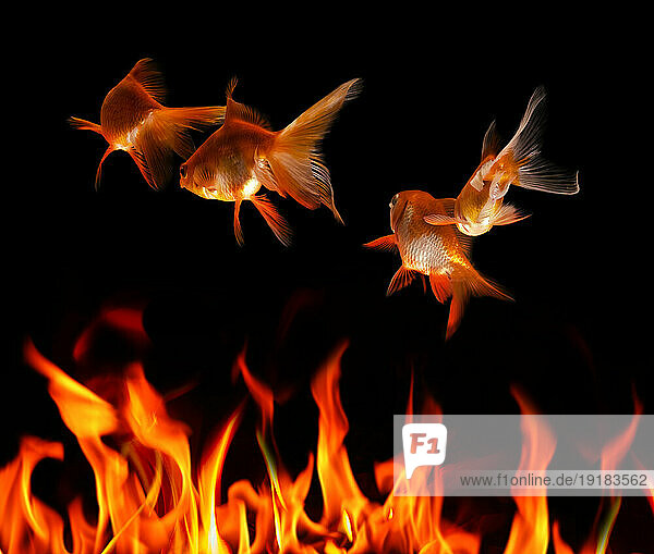 CGI image of goldfish and flames depicting environmental threat