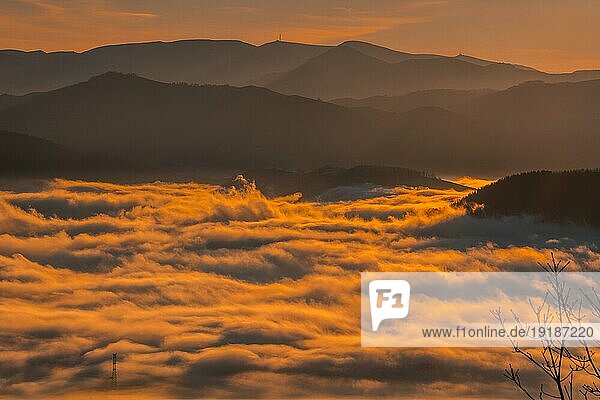 Dichter oranger Nebel an einem Wintermorgen. Baskenland