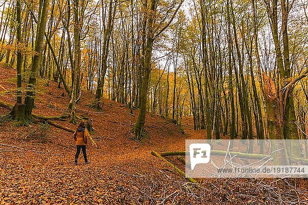 Lifestyle  eine junge Brünette in einer gelben Jacke  die im Herbst einen Waldweg entlangläuft. Artikutza Wald in San Sebastián  Gipuzkoa  Baskenland. Spanien