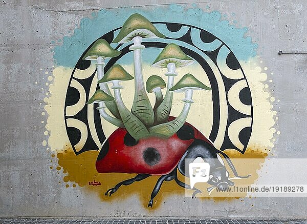 Shroomy Ladybug Wandbild von Noora Al Mansoori  Feuerwache  Doha  Katar  Asien