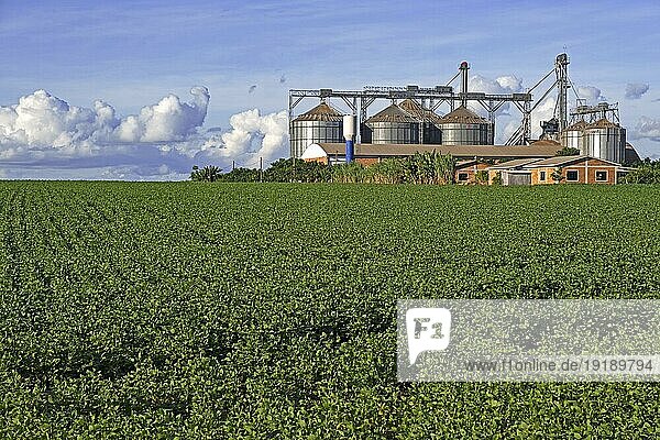 Bauernhof mit großen Comil Silos zur Lagerung geernteter Sojabohnen  Sojabohnen inmitten von Sojafeldern im ländlichen Alto Paraná  Paraguay  Südamerika