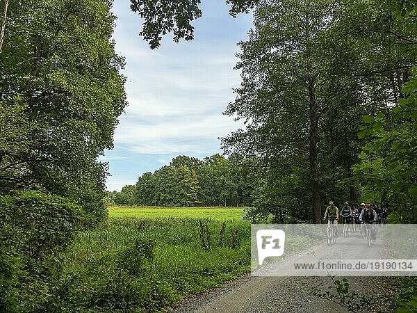 Radweg  Radfahrer  Laubwald und Wiesen im Biosphärenreservat Spreewald  Brandenburg  Deutschland  Europa