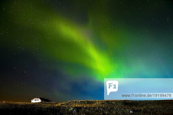 Grüne Lichter des wunderschönen Nordlichts auf der Halbinsel Reykjanes im Süden Islands