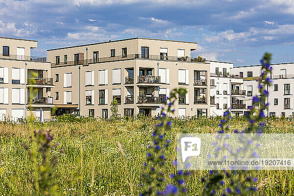 Germany  Baden-Wurttemberg  Fellbach  Suburban apartments with meadow in foreground