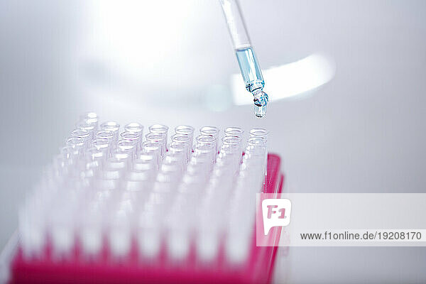 Pipette dropping chemical in vial at laboratory