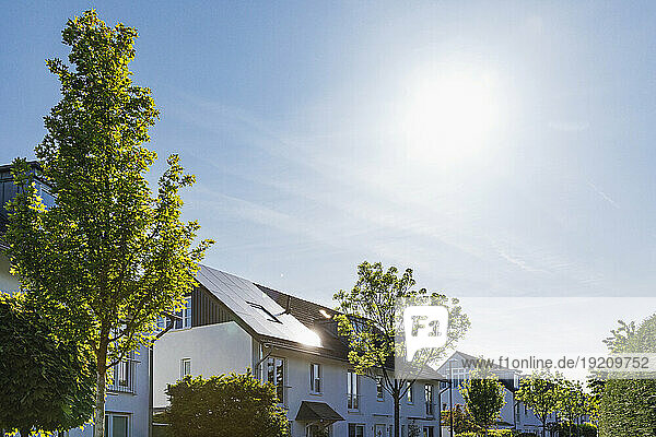 Germany  North Rhine Westphalia  Cologne  Sun shining over modern suburban houses