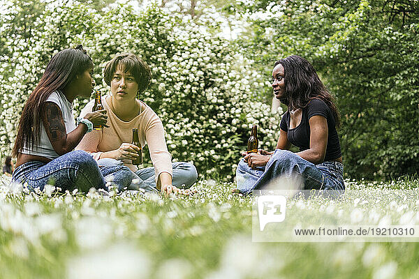 Multiracial women having beer in park