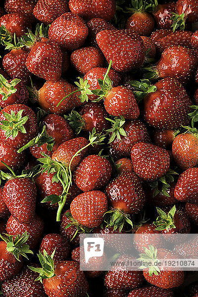 Frische Erdbeeren (Bildfüllend)