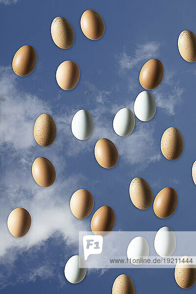 Eier vor blauem Hintergrund