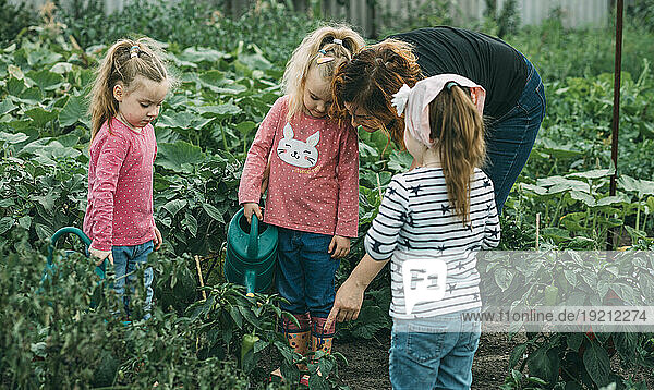 Mother teaching daughters in vegetable garden