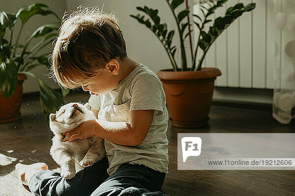 Cute boy playing with mixed breed puppy at home