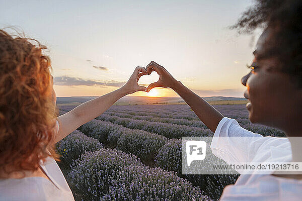 Friends showing heart sign amidst lavender field