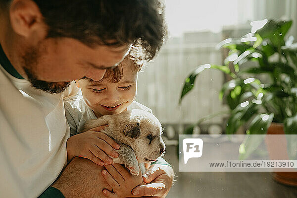 Father and son holding cute mixed breed puppy at home