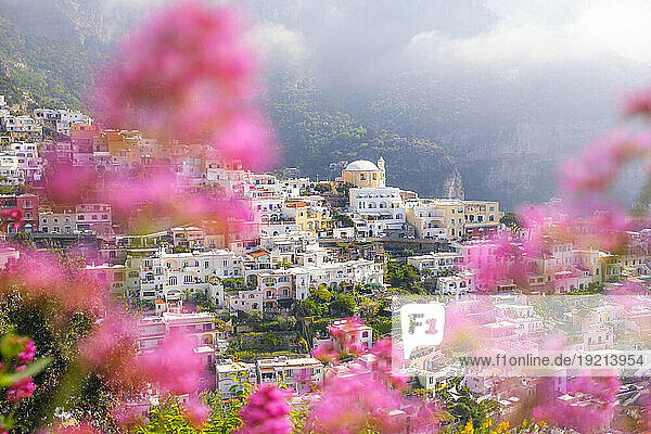 Pink flowers with Positano town in background