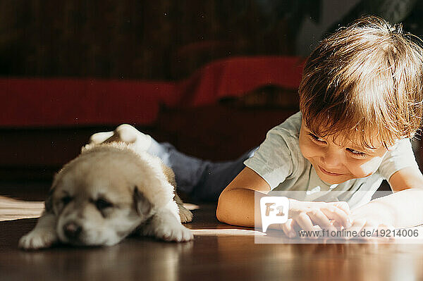 Cute boy looking at puppy lying on floor at home