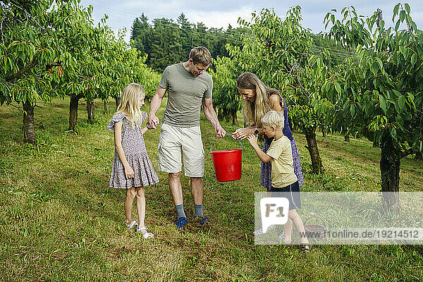 Family holding red bucket in garden
