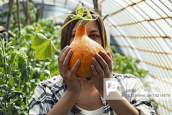 Young farmer holding freshly harvested squash in greenhouse