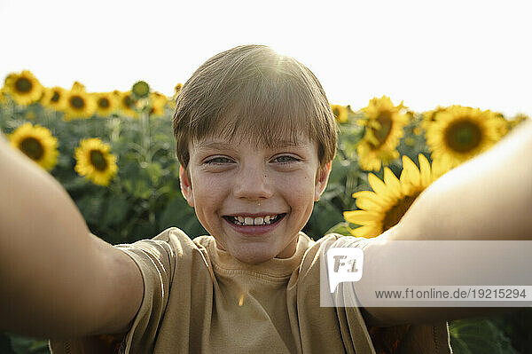 Happy boy taking selfie in sunflower field