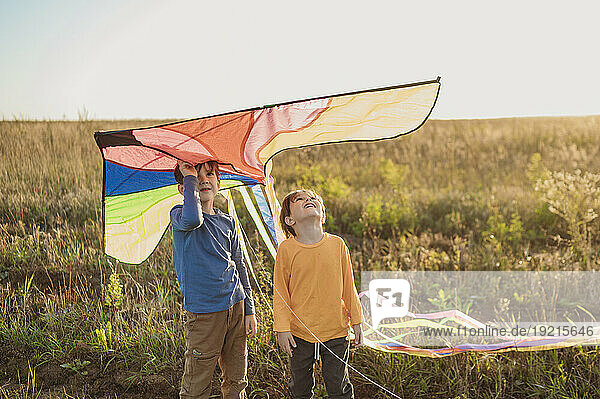 Smiling brothers holding kite in field