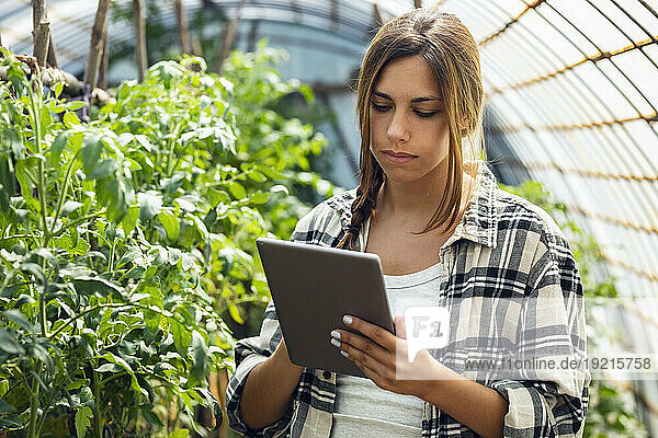 Young farmer using tablet PC by plant in greenhouse