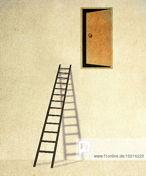 Tall ladder reaching door high in wall