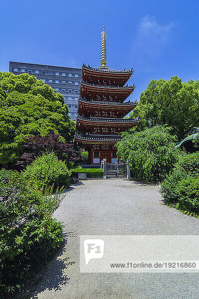 Japan  Fukuoka Prefecture  Fukuoka City  Tocho-ji temple in summer