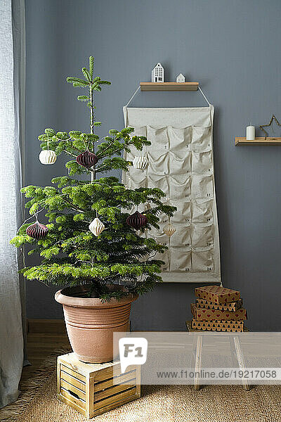 Decorated potted Christmas tree on wooden crate with gifts and advent calendar at home
