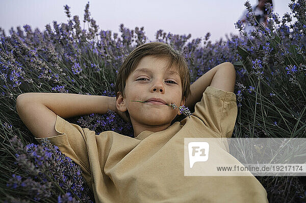 Boy holding lavender flower in mouth