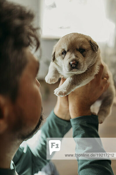 Man holding cute mixed breed puppy at home