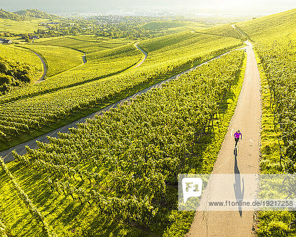 Young woman jogging amidst vineyard on sunny day