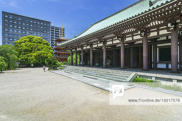 Japan  Fukuoka Prefecture  Fukuoka City  Tocho-ji temple in summer