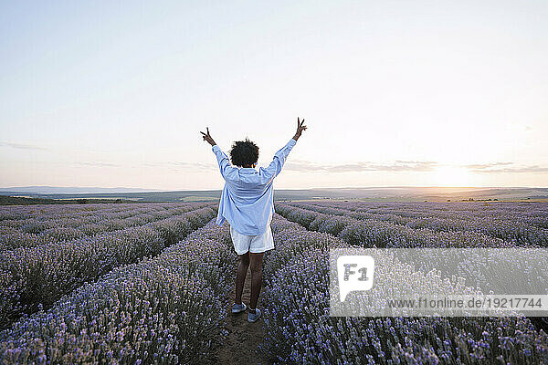 Happy woman with arms raised standing in lavender field