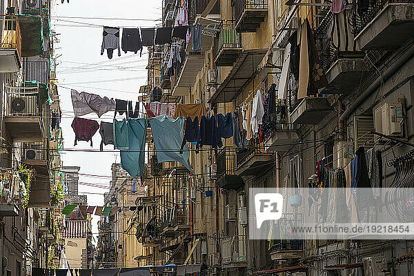 Italy  Campania  Naples  Quartiere Pendino  Via Delle Zite  laundry drying on wires stretched to the facades of buildings  on either side of the street  November 2021.
