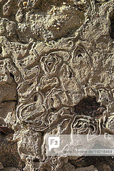 Close-up of efflorescence on the surface of an old wall.