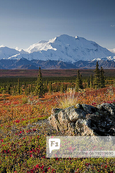 Scenic View Of Mt. Mckinley During Autumn  Denali National Park  Interior Alaska