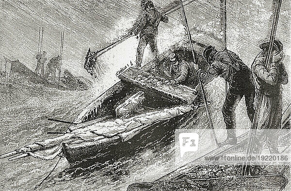 Raking for oysters in Chesapeake Bay  19th century. From America Revisited: From The Bay of New York to The Gulf of Mexico  published 1886.