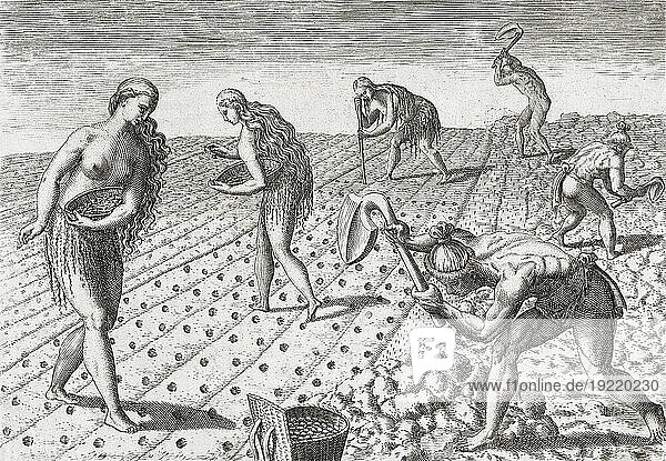 Native Americans  both men and women  till the soil and plant seeds. After a late 16th century work by Theodor de Bry.